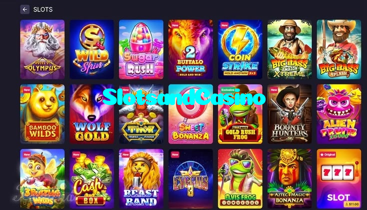 SlotsandCasino
